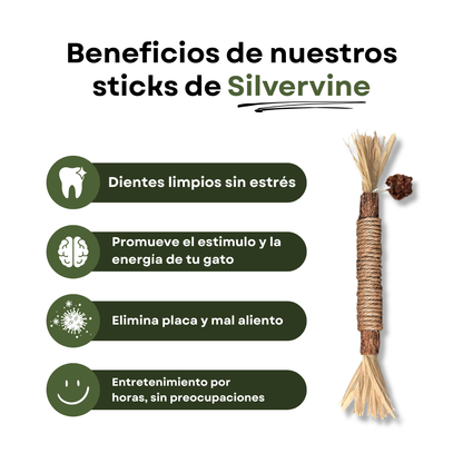 Sticks de silvervine